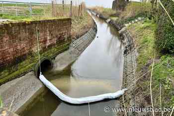 Kilometerslang oliespoor op waterlopen in polders na aanrijding: “Vervuiling wordt ingedamd”