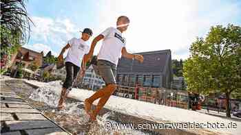 Innenstadtberater Altensteig: Konkrete Maßnahmen entwickeln