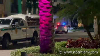 Man arrested on murder charge after fatally stabbing girlfriend in Doral: Police