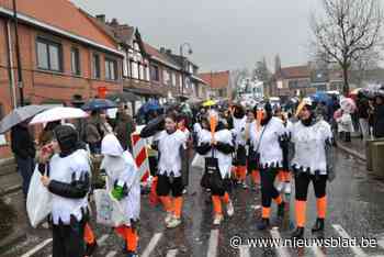 Kleurrijke Wuitenskinderen stappen in eigen cavalcade door Hamse centrumstraten