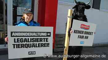 Tierrechtsorganisation Peta protestiert vor dem Ehrmann-Stammsitz