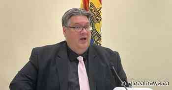 New Brunswick failing to provide basic services, says new report by child advocate