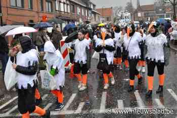 Kleurrijke Wuitenskinderen stappen in eigen cavalcade door centrumstraten