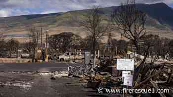 Wildfire detection sensors to be deployed around Hawaii following deadly wildfires
