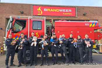 Acht baby’s in jaar tijd voor brandweerpost Kapellen: “Een crèche in de kazerne zou fijn zijn”