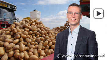 Teler meer met hoofd bij nieuwe dan oude oogst