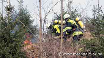 Brand in Rohrdorf: 1000 Quadratmeter Wiese in Flammen – Waldbrand-Gefahr in der Region?