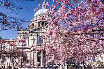 These are the best places to see Cherry Blossom in London