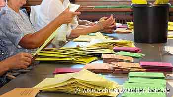 Kommunalwahl Wildberg: So ist die Lage bei CDU, Freie Wähler, SPD, Grüne und FDP