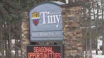 Fallen tree in Tiny Township leaves nearly 430 customers without power