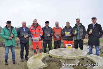Gemeente voert strijd tegen agressieve Aziatische hoornaar: “Nu actie ondernemen om snelle groei te voorkomen”