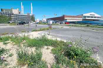 Im Herbst sollen die Bauarbeiten für das Stadthaus 4 starten