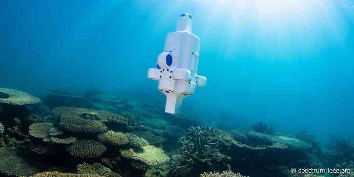 Diminutive Deep Sea Drone Dives for Wrecks and Reefs