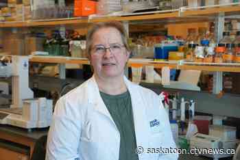 Sask. researcher working on new treatment for stage 4 breast cancer