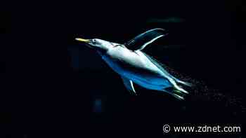 Linux kernel 6.8 offers some exciting new features and 'fixes all over'