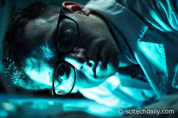 New Study Reveals That Researchers Overrate Their Ethical Standards