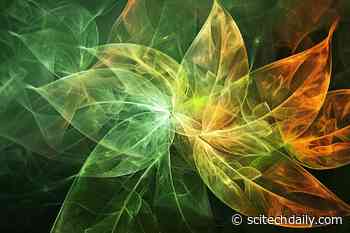 Scientists Uncover Atomic Secrets of Photosynthesis