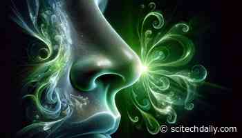 Shocking New Research Reveals That Certain Odors Can Accelerate Mortality and Aging