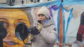 The rise of Romana Didulo, self described 'Queen of Canada', and what she's up to now