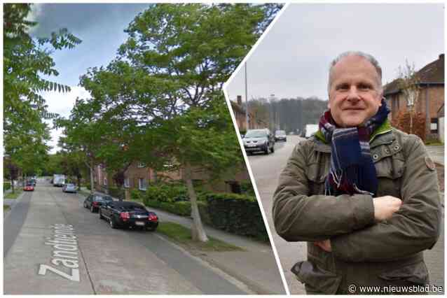 Milieuvereniging sleept Brugge voor de rechter voor ‘illegale kap’ van negen bomen: “Samen zijn ze 36.000 euro waard”