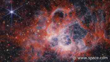 The James Webb Space Telescope hones in on star-forming region in the Triangulum Galaxy (images)