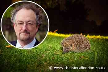 Hampstead Heath's £50m value in benefits to society