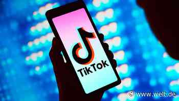 Aus Angst vor einem Verbot mobilisiert TikTok eine Armee von Teenagern