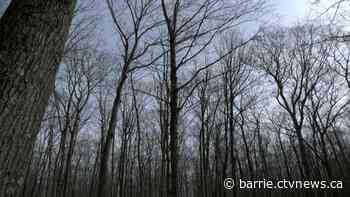 Canada & Ontario champion nature preservation with multi-million-dollar investment