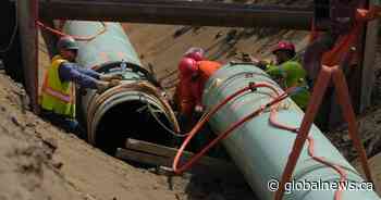 Pipeline shortages to return soon after Trans Mountain expansion comes online