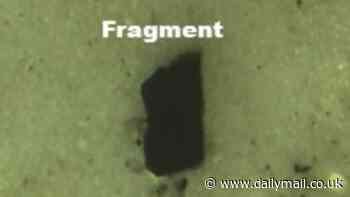 From SEMEN and breast milk to the heart and BRAIN: Scientists have found hormone-warping, cancer-causing microplastics in virtually EVERY part of our bodies