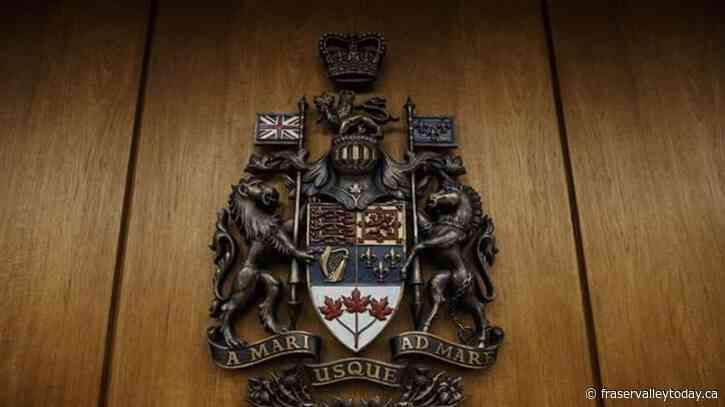 Victims-of-crime ombud to examine how justice system treats sexual assault survivors