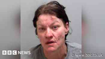 Woman who stole £2.5k in items is banned from shops