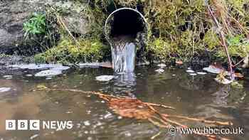 Anglian Water will invest £50m tackling pollution