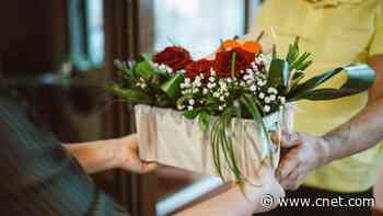 Best Online Flower Delivery Services for 2024, Tested by CNET     - CNET