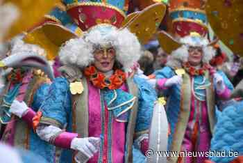 Mannen van de Met winnen opnieuw het Halse carnaval