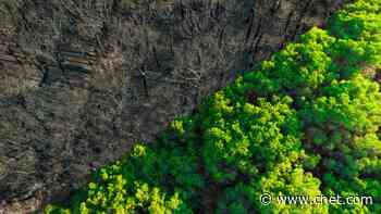 We Just Saw the Warmest February on Record, and It's Following a Trend     - CNET