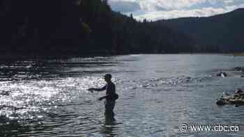 U.S., Canada agree to work on reducing B.C. coal mine pollution