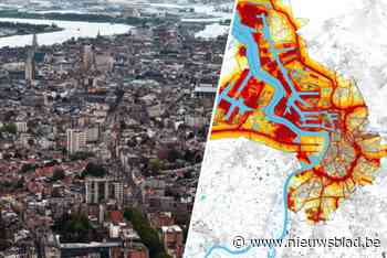 Bijna 1 op de 10 Antwerpenaars hoort thuis continu lawaai dat vergelijkbaar is met stofzuiger