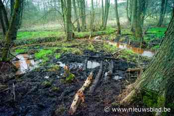 Limburgse moerassen niet zonder gevaar: “Veenlagen tot zeven meter diep”
