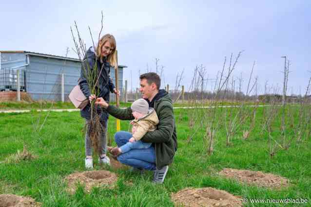 Geboortebos krijgt 150 nieuwe bomen en struiken