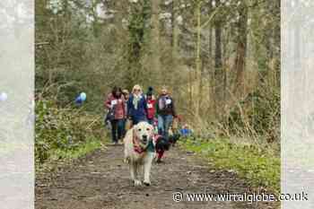 Wirral dog owners urged to go ‘walkies' for Cancer Research UK
