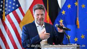 Habeck während seiner US-Reise: "Löst die verdammten Probleme"