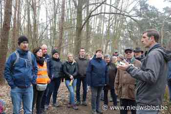 Steeds meer propere pioniers houden hun buurt netjes: “Vorig jaar 17 ton zwerfvuil opgeruimd”