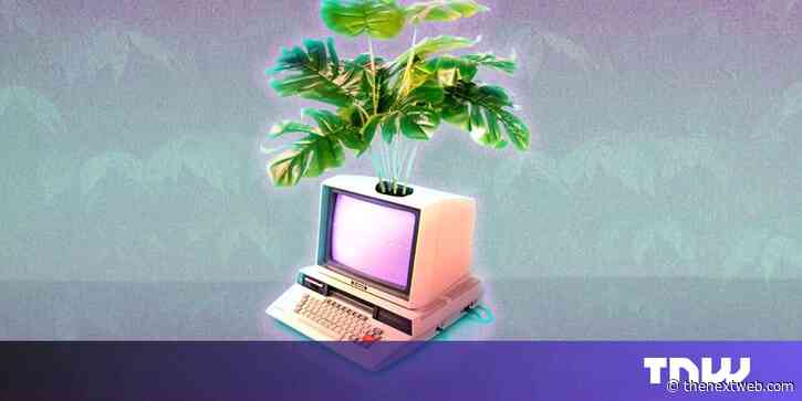 5 ways to boost your salary as a software developer in 2024