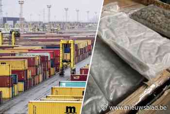Douane vindt 818 kilogram cannabis in haven van Antwerpen