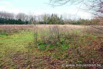 Gemeentebestuur wil parking naast Melkerij dichter bij de Bredabaan brengen