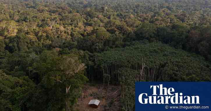 ‘My dream is to buy a piece of land’: the ‘outsiders’ farming at the Amazon’s last frontiers