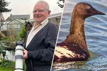 Roger fotografeerde meer dan 270 soorten vogels in eigen streek: “Oehoe aan Volharding en grijze wouw aan Etap”