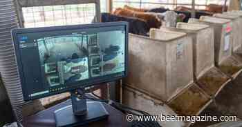 A ‘smart’ examination to improve livestock management efficiency