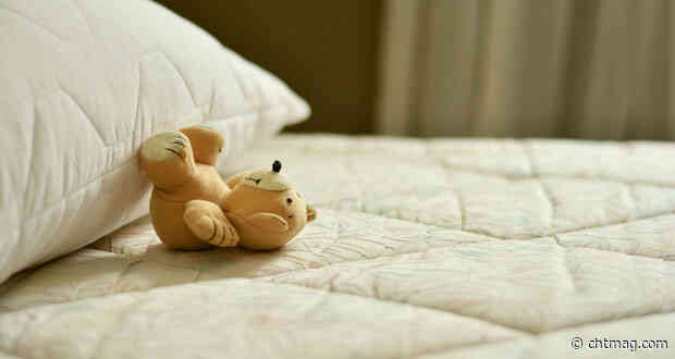 Bed bug activity has doubled year-on-year